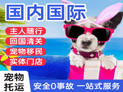 天府航空运输国际宠物托运 【国